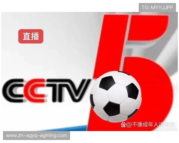 西甲联赛央视直播频道的观看时间与注意事项