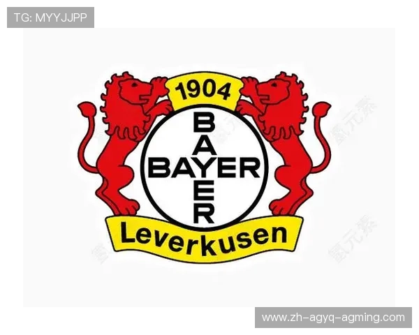 那些被认为队徽难看的德甲球队